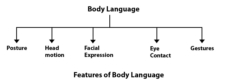 Figure 24. Features of Body Language. Graphic taken from communication theory.org.