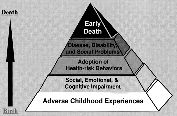 Figure 31.  The possible influences of ACEs on the lifespan.  Taken from Felitti VJ et al.