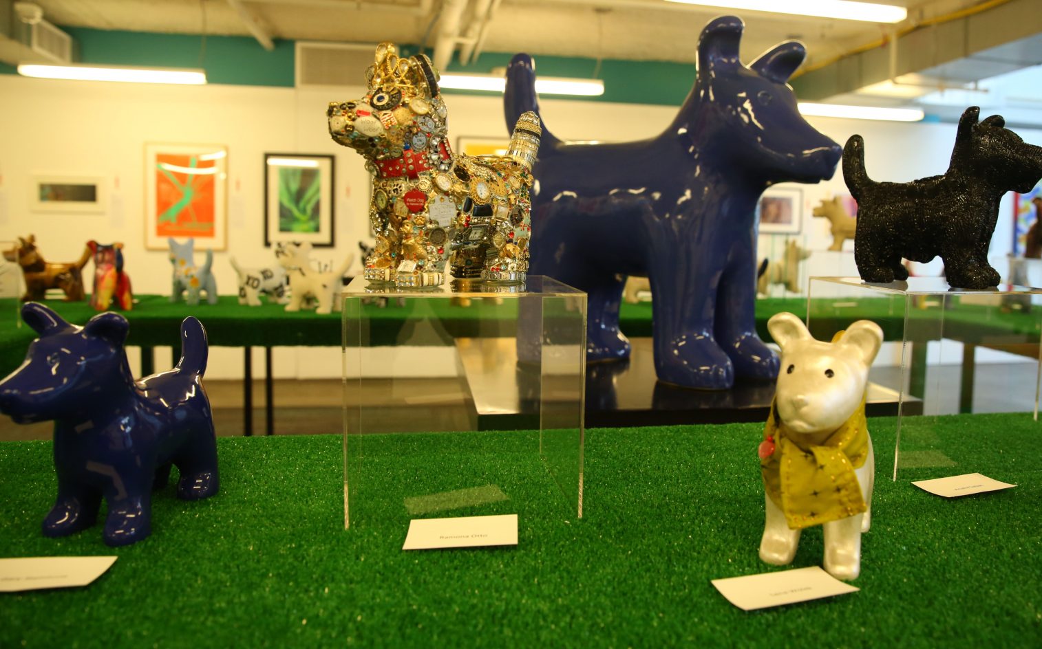 puppy-project-1-1514×944