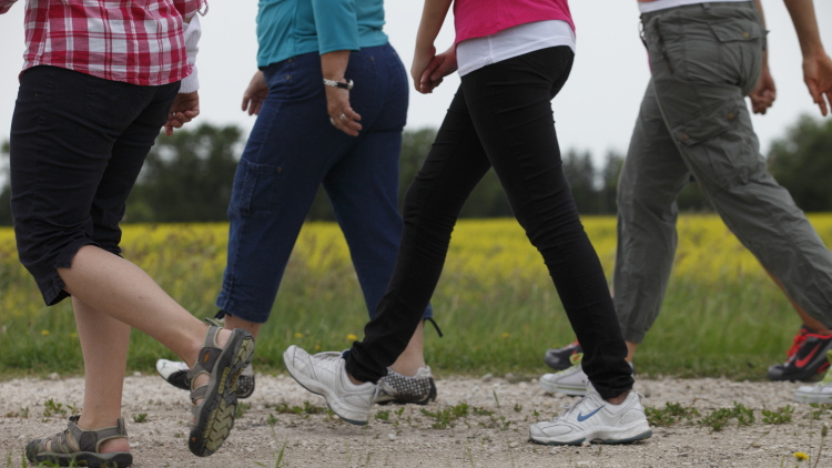 Un grupo de personas, visibles de cintura para abajo, caminan al aire libre por un sendero de grava. Llevan ropa informal y zapatillas de deporte, con un campo de flores amarillas y árboles de fondo.