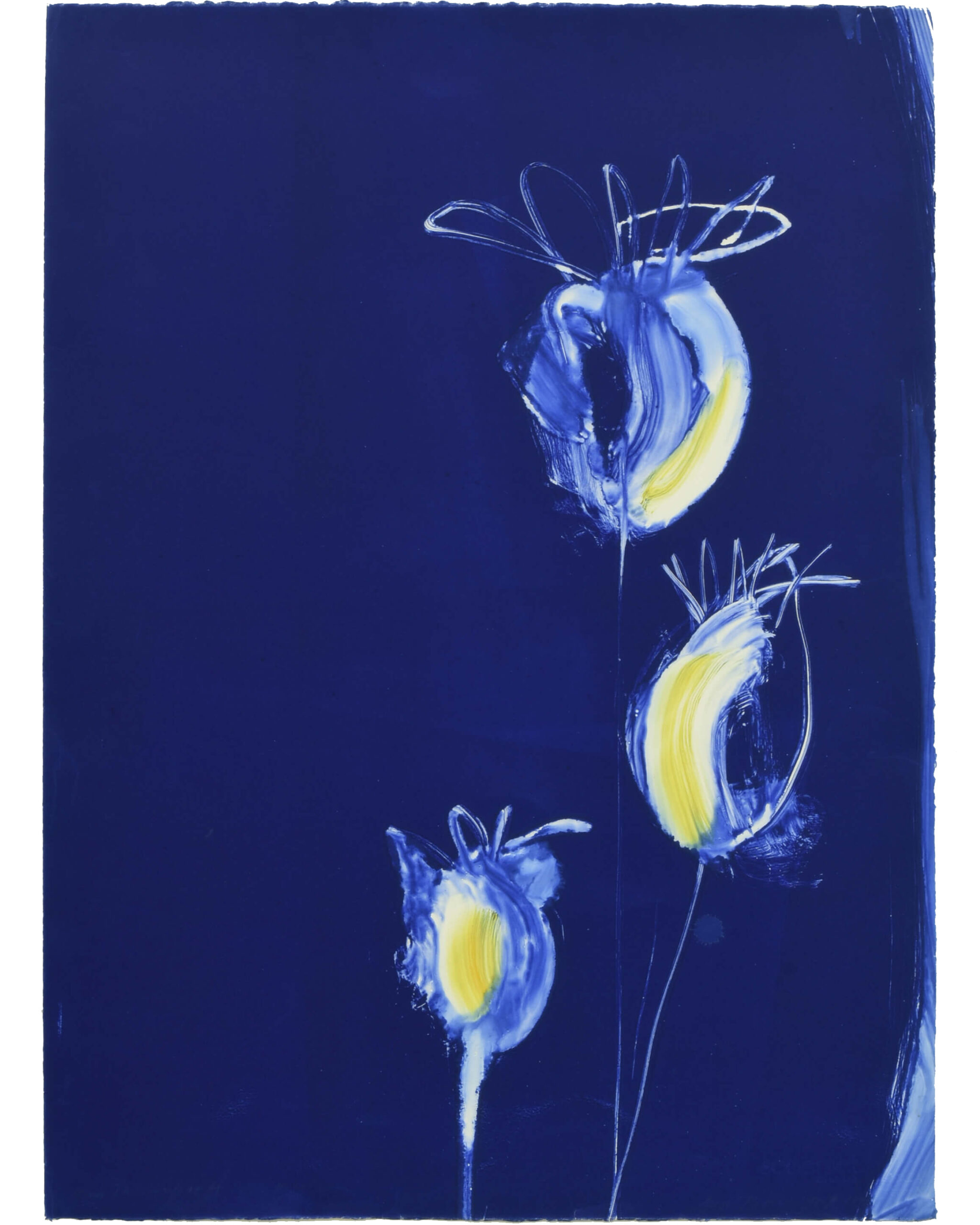 Three Abstract Flower-like Shapes In Blue, White, And Yellow Stand Out Against A Deep Blue Background. The Flowers Are Loosely Painted With Swirling, Expressive Lines And Curved Stems.