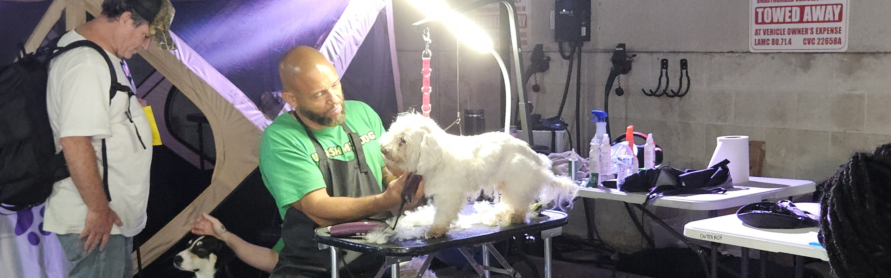 A Man Grooms A Small White Dog On A Table Under A Lamp. Another Man With A Backpack And A Black Dog Stands Nearby. Grooming Tools And Cleaning Supplies Are On A Table In The Background.